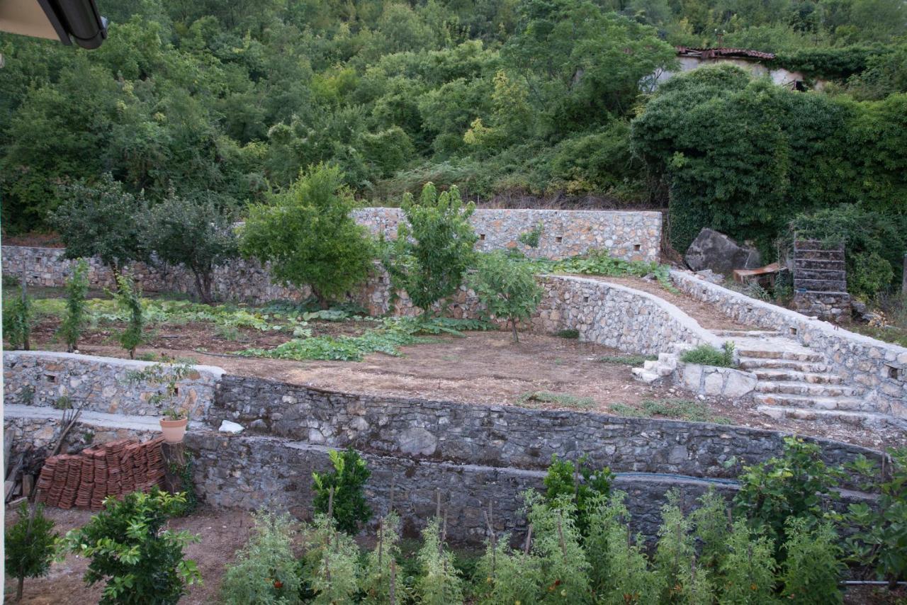 Village House Dunja Virpazar Exterior photo